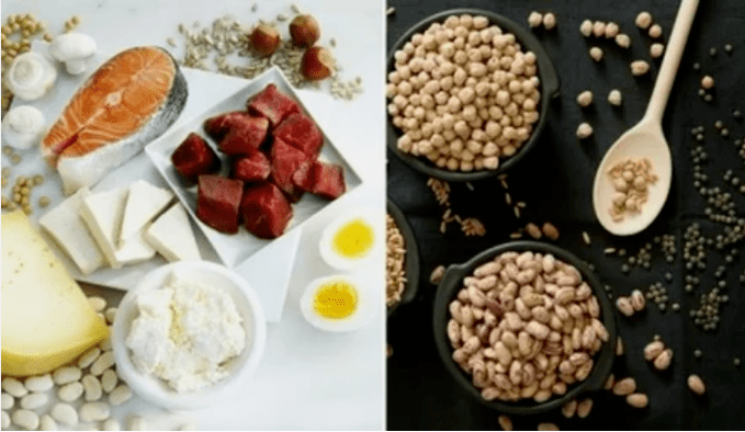 Examples of protein food products