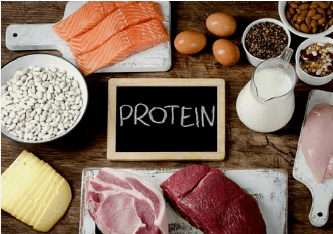 Protein food products
